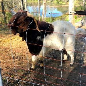 Offers Welcome!! Deals are Great!!